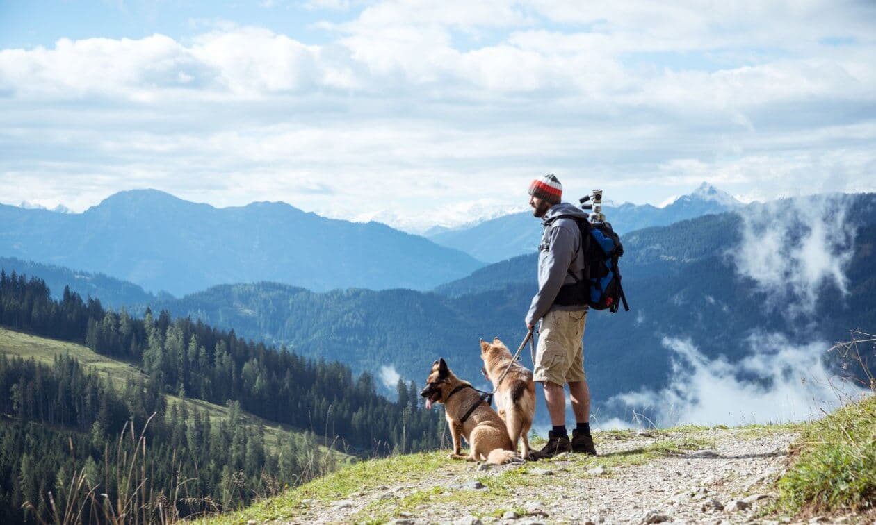 Hiking with dogs on East Bench Salt Lake City