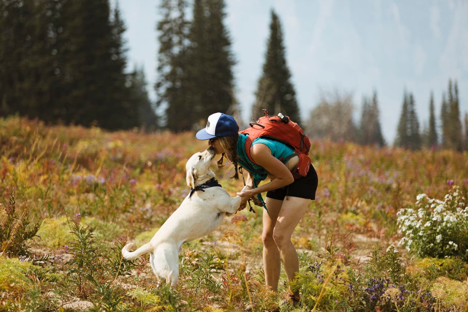 Dog on trail in Salt Lake City